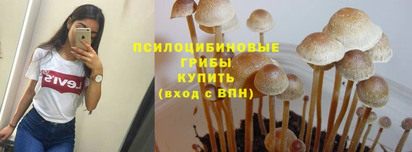 эйфоретик Горняк