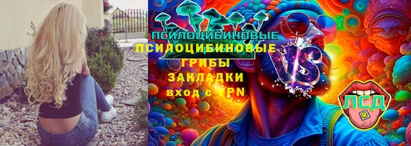 ALPHA PVP Горнозаводск
