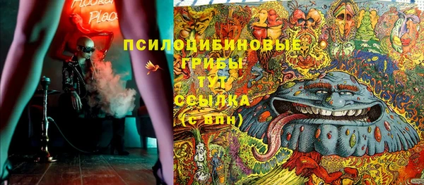 ALPHA PVP Горнозаводск