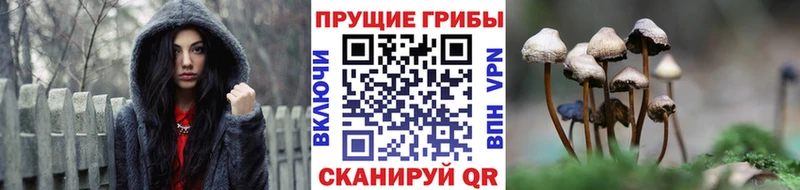 Галлюциногенные грибы прущие грибы что такое наркотик Сусуман